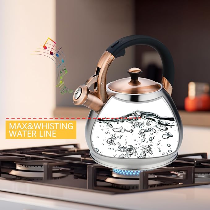 Tea Kettle Stovetop Whistling Kettle Teapot, 3Quart Tea Pot Stainless Steel Teakettle for Stove Top with Heat Proof Ergonomic Handle