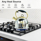 Tea Kettle for Stovetop, Food Grade Stainless Steel Water Kettle, Tea Pot for Home & Kitchen, 3.0 Qt
