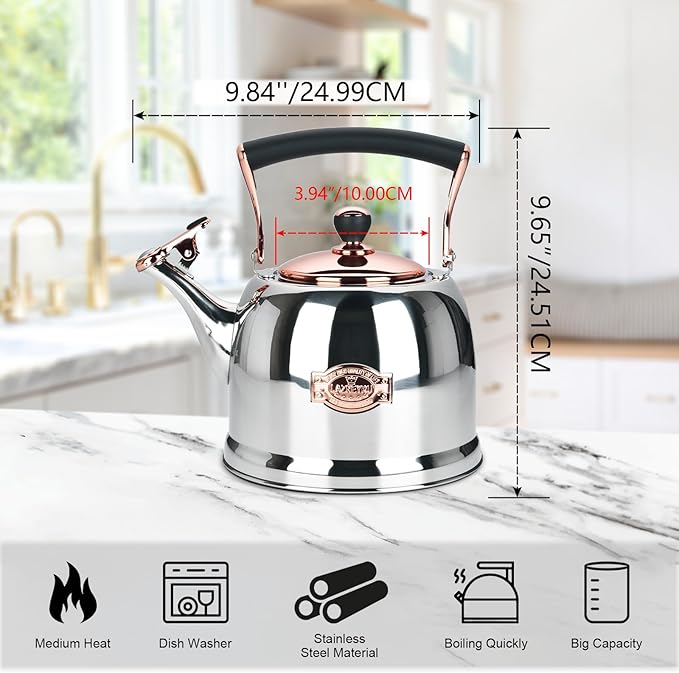 Tea Kettle Stainless Steel Teapot, Stainless Steel Teakettle for Stove Top with Heat Proof Ergonomic Handle 3.0 Quart