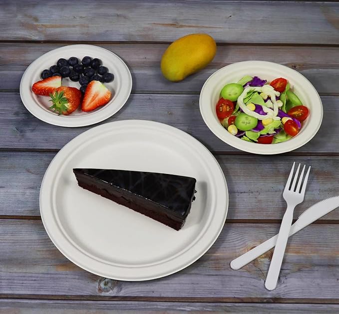 9 inch Compostable Plates, 100 Count Heavyduty Sugarcane/Bagasse and Bamboo Fibre Biodegradable Disposable Paper Plate