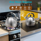 Tea Kettle, 2.64 Qt Tea Pot Stovetop, Premium 304 Food-Grade Tea Kettle Stovetop, Resounding Sound, Vintage Aesthetics, with Pot Holder (Brushed)