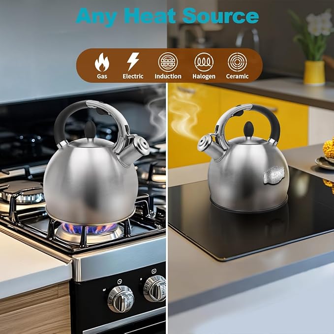 Tea Kettle, 2.64 Qt Tea Pot Stovetop, Premium 304 Food-Grade Tea Kettle Stovetop, Resounding Sound, Vintage Aesthetics, with Pot Holder (Brushed)
