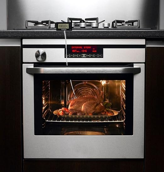 Digital Oven Thermometer Heat Resistant up to 572°F/300°C, LCD