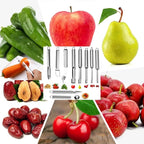 Fruit and Vegetable Corer Tool,Kitchen Fruit Carving Knife, Multi-Function Stainless Corer and Pitter Remover Set for Apple, Pear, Cherry, Jujube, Red Dates, Chili,Potato, Watermelon（10 Pcs）