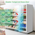 Commercial Merchandiser Refrigerator, 13.8 Cu Ft Display Beverage Fridge with Glass Door Upright Cooler with LED Light Low Noise, Fast Cooling for Shop, Restaurant, Office (White)
