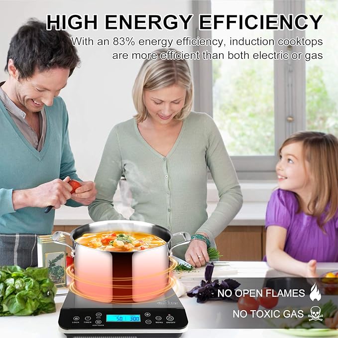 Duxtop Portable Induction Cooktop, Countertop Burner Induction Hot Plate with LCD Sensor Touch 1800 Watts, Silver 9600LS BT-200DZ