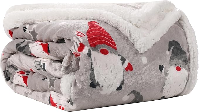 Electric Heated Blanket Queen Size - 84"x90", 10 Heating Levels, 1-12 H Auto Shut Off, Dual Controllers, Breathable Flannel Warm and Washable for Bed, Santa Claus for Christmas