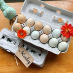 90 Egg Cartons- Adorable Printed Vintage Design for Farm Fresh Eggs, Recycled Paper Cardboard, Sturdy & Reusable, Carton Holds up to XL Chicken Eggs (90, Locally Laid Hen)
