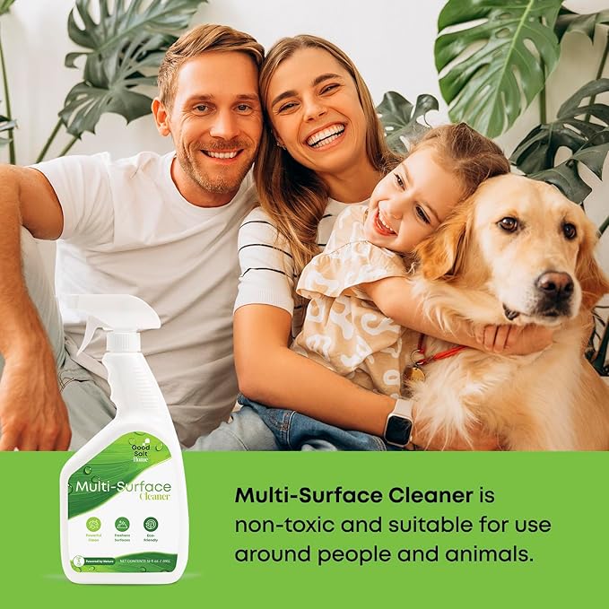 Good Salt Home Multi-Surface Cleaner, Pack of 2