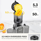 SUSTEAS Cold Press Juicer Machines, 5.3" Feed Chute(50oz Capacity), 300W Slow Masticating Juice Extractor for Whole Fruits and Vegetables, Automatic Feed, High Juice Yield,Easy to Clean, Silver gray