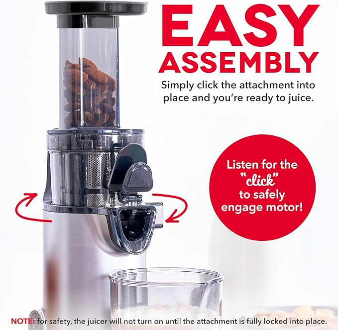 DASH Deluxe Compact Masticating Slow Juicer, Easy to Clean Cold Press Juicer with Brush, Pulp Measuring Cup, Frozen Attachment and Juice Recipe Guide - Graphite