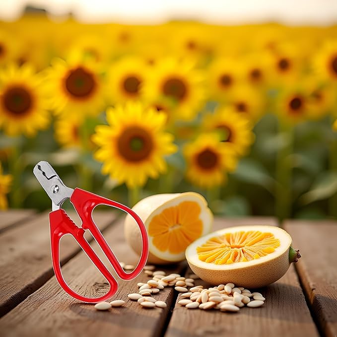 Red Melon Seed Cracker Plier, Sunflower Seeds Plier Opener - Seed Cracker Sheller Opener Peeling Pliers for Melon Seeds, Small Nuts, Specialty Tools and Gadgets Kitchen Utensils