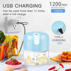 EASYSPEED Electric Garlic Chopper 1Cup, Mini USB Charging Wireless Food Processor with 304 Stainless Steel, 3 Sharp Blades, Portable Kitchen Meat Grinder for Onion, Garlic, Ginger, Baby Food