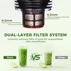 Cold Press Juicer, 5.5inch Wide Feed Chute Slow Juicer Machine, Masticating Juicer for Whole Vegetables & Fruits, Black