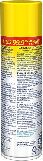 Sprayway Foaming Action All Purpose Cleaner and Disinfectant, Lemon Scent, 19 oz, (SW5014R)