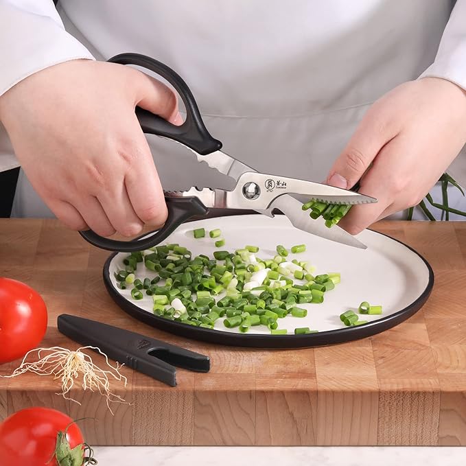 Cangshan 503343 9-inch Heavy-Duty Come-Apart Kitchen Shears with Guard