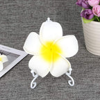 LIONWEI LIONWELI 4 Inch White Iron Plate Stand Holder Easel Display Stand for Plate?Picture?Photo and More,4 pcs.