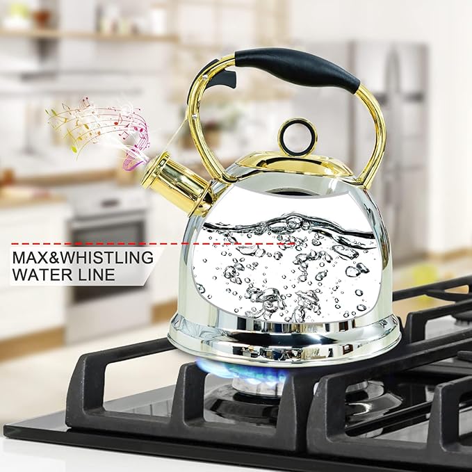 Tea Kettle for Stovetop, Food Grade Stainless Steel Water Kettle, Tea Pot for Home & Kitchen, 3.0 Qt