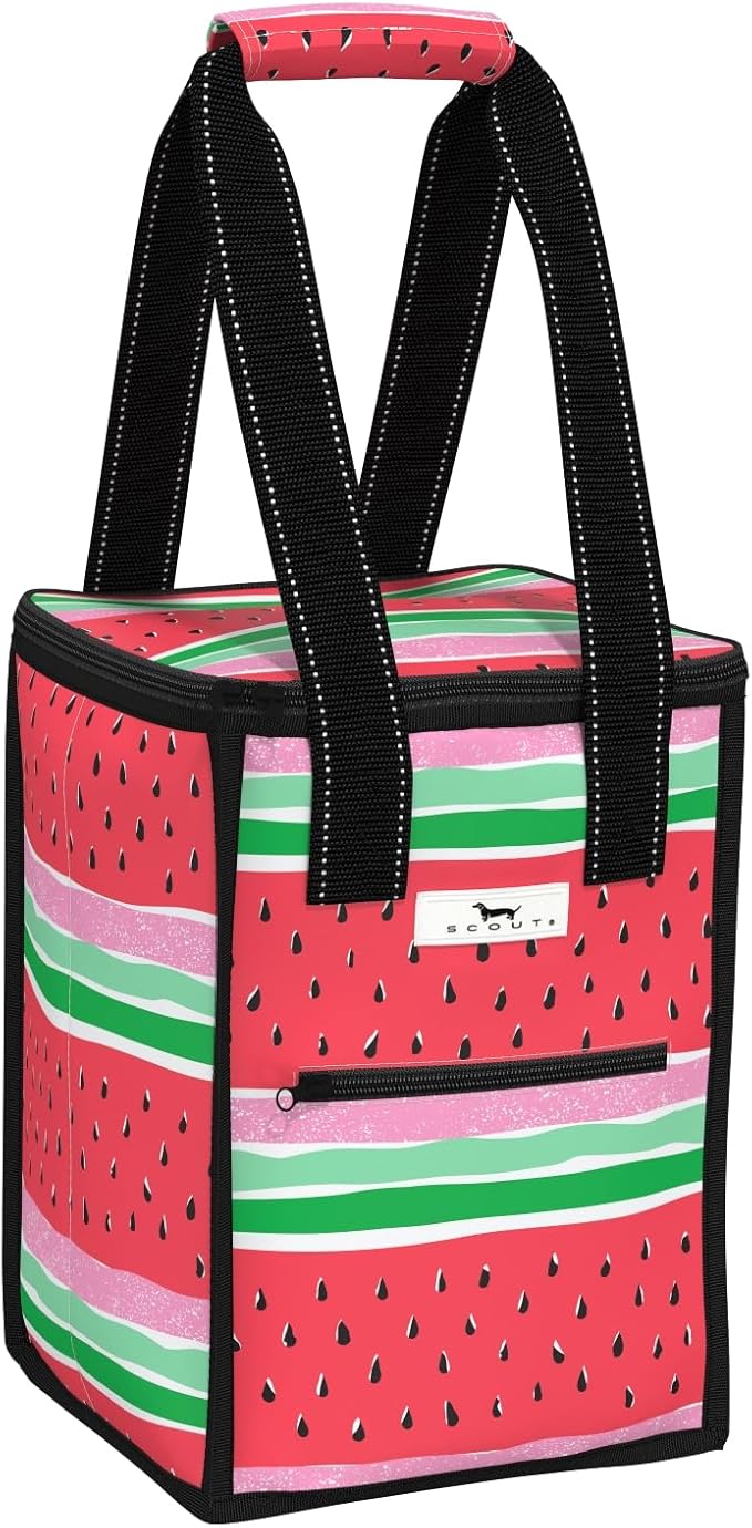 SCOUT Pleasure Chest - Soft, Lightweight, Insulated Cooler, Fits 5 Wine Bottles, Cooler for Beach, Pool, Boat, and Picnics