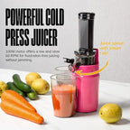 Ventray Ginnie Mini Cold Press Juicer, Small Slow Masticating Juicer for Vegetables and Fruits, High Juice Yield, Easy to Clean, Space-Saving, Fit for Personal/Travel/Picnic/Office - Pink