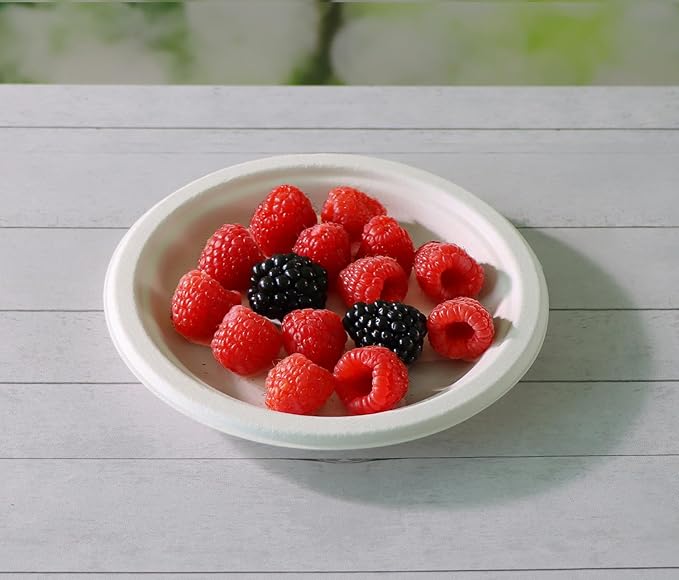 6 inch Small Compostable Dessert Plates,100 Count Heavyduty Sugarcane/Bagasse and Bamboo Fibre Biodegradable Disposable Paper Plate