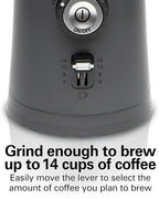 Hamilton Beach Electric Coffee Grinder for Beans, Spices and More, with Multiple Grind Settings for up to 14 Cups, Removable Stainless Steel Chamber, Grey (80396C), 10 oz