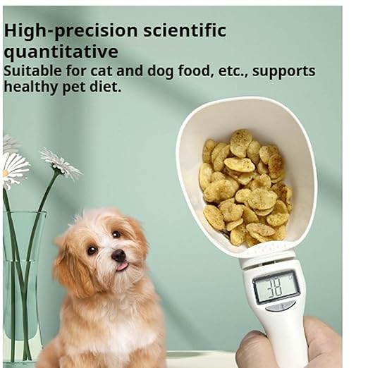 2026 New Electronic Measuring Spoon with Conversion,Digital Measuring Spoon Scale,800g / 0.1g High Precision with LCD Screen,Household Weighing Portable Tool for Pet Dog Cat Food (1SET)