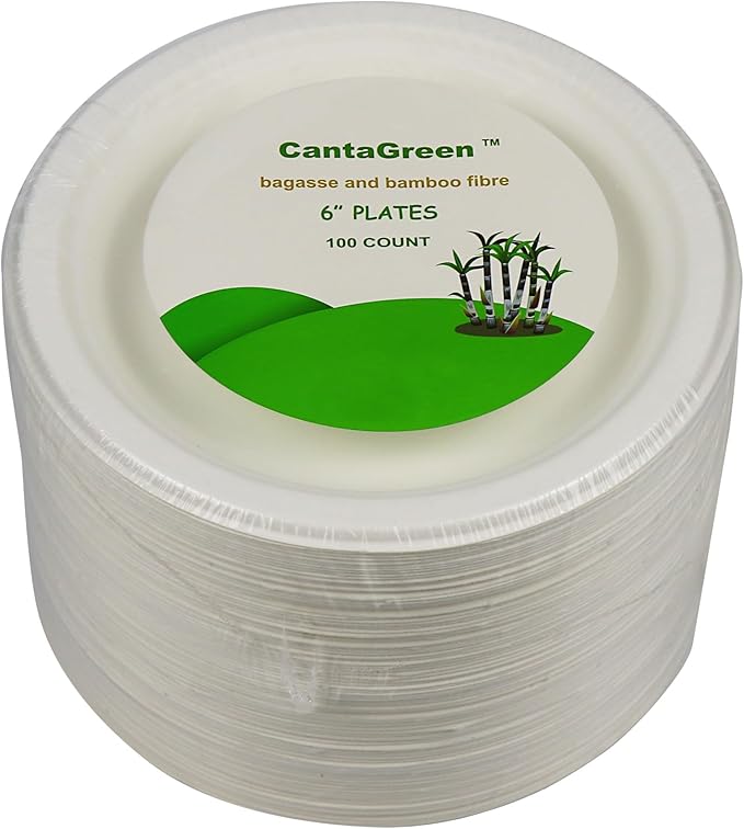 6 inch Small Compostable Dessert Plates,100 Count Heavyduty Sugarcane/Bagasse and Bamboo Fibre Biodegradable Disposable Paper Plate