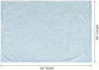 EverSnug Travel Blanket and Pillow - Ultra-Soft, Compact & Lightweight, 65x40 Inches, with Carry Case, Luggage Sleeve & Backpack Clip for Airplane Comfort (Ice Blue)