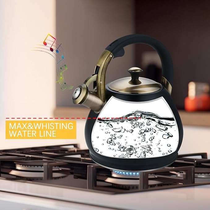 Tea Kettle Stovetop Whistling Kettle Teapot, 3Quart Tea Pot Stainless Steel Teakettle for Stove Top with Heat Proof Ergonomic Handle