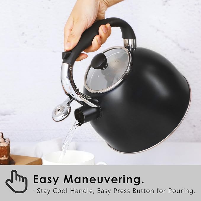 Rorence Stainless Steel Tea Kettle: 2.6 Quart Whistling Kettle for Stove Top with Capsule Bottom & Heat-resistant Glass Lid – Matte Black