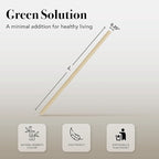 Party Essentials Bamboo Coffee Stirrers/Beverage Stir Sticks, 7" Individually Wrapped, 500-Count, Natural