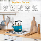 Tea Kettle Stainless Steel Teapot, Stainless Steel Teakettle for Stove Top with Heat Proof Ergonomic Handle 3.0 Quart