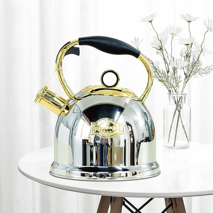 Tea Kettle for Stovetop, Food Grade Stainless Steel Water Kettle, Tea Pot for Home & Kitchen, 3.0 Qt