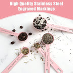 Stainless Steel Measuring Spoons Set of 5, Metal Measuring Cups and Spoons Set for Liquid/Food/Kitchen/Baking (Pink)