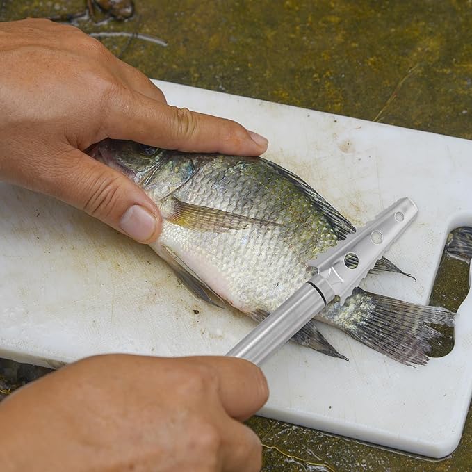 GALPADA Fish Scale Scraper 304 Stainless Steel Manual Fish Scale Remover Kitchen Gadget for Home Seafood Cleaning Tool