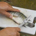 GALPADA Fish Scale Scraper 304 Stainless Steel Manual Fish Scale Remover Kitchen Gadget for Home Seafood Cleaning Tool