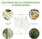 Vplus 100% Compostable Paper Plates, 150 Pack 9 Inch 3 Compartment Plates Disposable, Heavy Duty Biodegradable Plates Made of Sugar Cane Fibers, for Daily meals, Dinner, Parties, BBQ