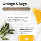 ATTITUDE Multi-Purpose Cleaner with Essential Oils, EWG Verified, Plant and Mineral-Based Ingredients, Vegan Household Products, Refillable Aluminum Bottle, Orange and Sage, 16 Fl Oz (Pack of 6)