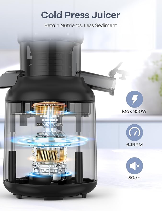Ganiza Juicer Machines, Cold Press Juicer with Large Feed Chute for Whole Fruits & Vegetables, Slow Masticating juicers with 3 Replace Filters for Batch Juicing, Easy to Clean, BPA Free (Black)