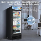 Tylza Commercial Refrigerator with Glass Door Display Beverage Fridge, 11.15 Cu Ft Upright Beverage Cooler Merchandiser with Replaceable Advertising Light Board, Rebound Door, Fast Cooling, Black