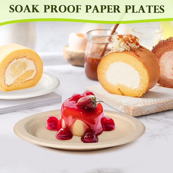 Small Paper Plates 6 inch, Compostable Eco Friendly Disposable Plates for Appetizer, Cake, Dessert