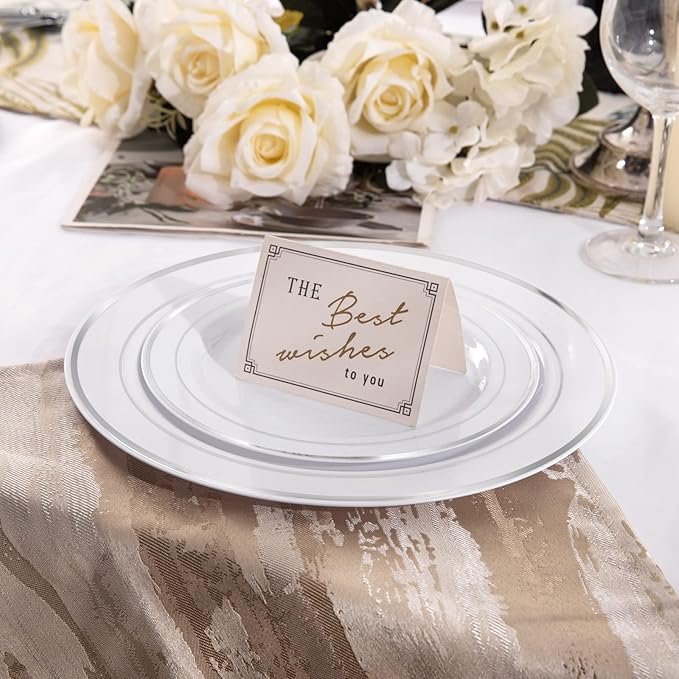 I00000 102pcs Silver Plastic Plates, Disposable Plastic Party Plates with White Silver Rim Fancy Wedding Party Plates Include 51 Dinner Plates 10.25" and 51 Dessert Appetizer Plates 7.5"