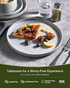 Famiware Star 24-Piece Reactive Glaze Plates and Bowls Sets, Service for 8 - Stoneware Dinnerware Set, High Edge Ribbed Dishes, Chip & Scratch Resistant, Microwave & Dishwasher Safe, Matte Gray