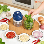 Mini Electric Food, Vegetable, Onion, Garlic, Nut Chopper, Processor & Cutter with Container