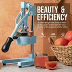 Zulay Kitchen Cast-Iron Orange Juice Squeezer - Heavy-Duty, Easy-to-Clean, Professional Citrus Juicer - Durable Stainless Steel Lemon Squeezer - Sturdy Manual Citrus Press & Orange Squeezer (Blue)