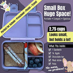 BEARFOOT Kids Lunch Box with Compartments – Compact & Lightweight | Leak-Proof, BPA-Free, Dishwasher & Microwave Safe | Hand-Drawn Design for Preschool, School, Travel (BubbleTea Purple, 2.75 Cups)