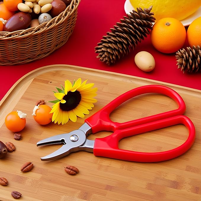 Red Melon Seed Cracker Plier, Sunflower Seeds Plier Opener - Seed Cracker Sheller Opener Peeling Pliers for Melon Seeds, Small Nuts, Specialty Tools and Gadgets Kitchen Utensils and Gadgets