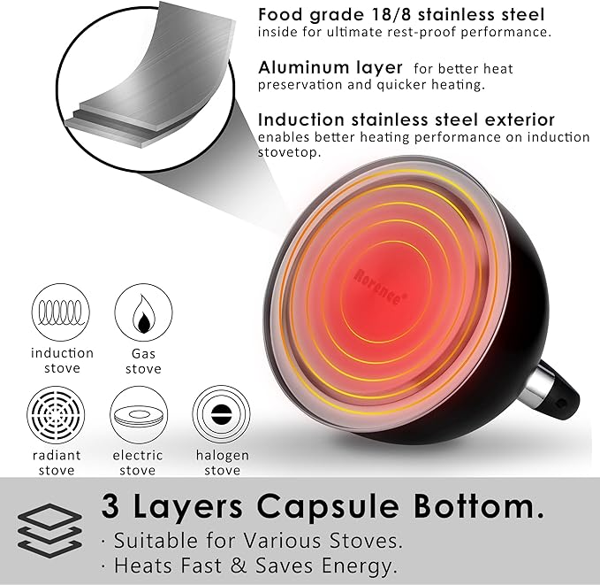 Rorence Stainless Steel Tea Kettle: 2.6 Quart Whistling Kettle for Stove Top with Capsule Bottom & Heat-resistant Glass Lid – Matte Black