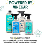 Aunt Fannie's All Purpose Household Cleaner, Multi-Surface Spray Cleaner, Powered by Vinegar for Kitchen, Bath, Windows and Countertops, Fragrance Free, Pack of 1